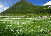 Tatamidaira in Mt.Norikuradake