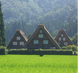 shirakawa-gou and Gokayama World Heritage Site