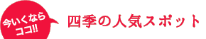 今いくならココ！四季の人気スポット