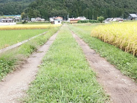 踏切と田園風景